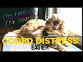Easier (I'm fine) - Coded Distress | Full Music Video
