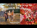 autumn in japan 🍁🍂 | Showa Kinen Park, Tokyo 🍃 | a day in the life japan ☀️