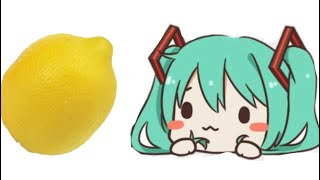 miku eats a lemon and dies [lazy]