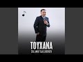 Toyxana