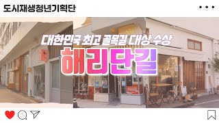 🏆대한민국 최고 골목길 대상 수상 '해리단길' 🏆