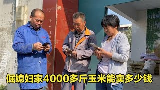 倔媳妇家卖玉米，4000多斤看卖多少钱？婆婆唉声叹气直说真后悔