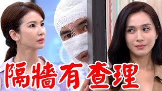 一家團圓│EP164 查理偷聽莫妮卡詭計 Eden奪洪家公司經營權援助曉萱 Family Reunion│ Vidol.tv