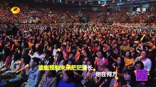 【HD】2014.01.05 李宇春 Li Yuchun Chris Lee 2013 Why Me 演唱会 {电视版720p}