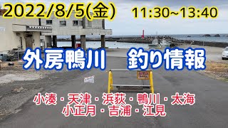 外房鴨川エリア釣り情報2022/8/5(金)11:30~13:40