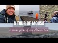 A trip to Mousa Broch, Shetland