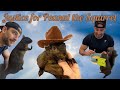 Justice for Peanut the Squirrel - EPIC BALLAD Song + Lyrics