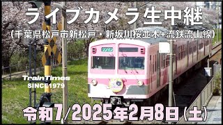 【ライブカメラ】ライブカメラ生中継／千葉県松戸市新坂川桜並木／2025年2月8日【桜並木・流鉄流山線リアルタイム配信・ライブトーク兼用】