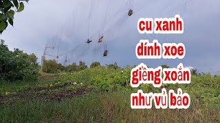 Ngày đầu tiên 23 con cu xanh dính thấy mê xoắn lưới như vủ bảo