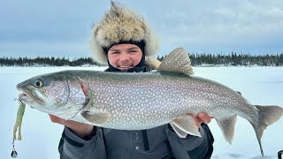 Viking Lodge Lake Trout Trip! #Droptinetackel #Elementcustombaits #prairiedog