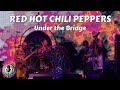 Red Hot Chili Peppers - Under the Bridge - Darien Lake, NY 7/12/2024