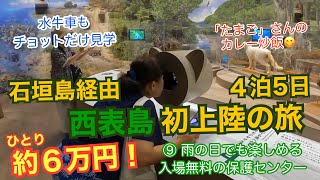 初めてのイリオモテ島へ４泊5日！⑨雨の日でも楽しめた西表野生生物保護センター♪見たり聞いたり触ったり♪「たまご」のカレー炒飯も美味しかった「旅とグルメのAkemiチャンネル」