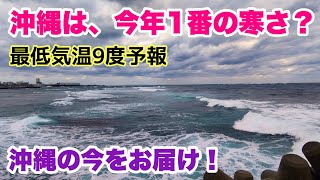 【沖縄の今をお届け】今年一番の寒さ？最低気温9度の沖縄「沖縄旅行情報」