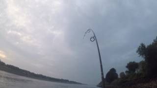 33 lb Striped Bass Smashes a Magic Swimmer at the Cape Cod Canal