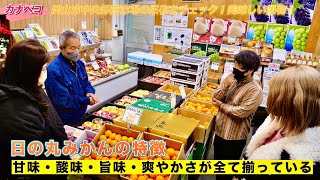 【 岡山県の市場・岡山市中央卸売市場】岡山グルメインスタグラマーと果物店へ！