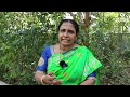 పత్తి సాగులో ఈ జాగ్రత్తలతో అధిక దిగుబడి kharif cotton crop farming profit tips karshaka mitra