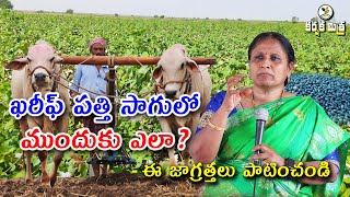 పత్తి సాగులో ఈ జాగ్రత్తలతో అధిక దిగుబడి || Kharif Cotton Crop Farming Profit Tips  || Karshaka Mitra