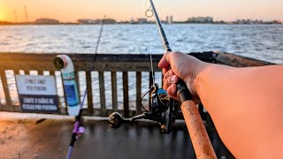GALVESTON Fishing SEAWOLF Park! 4K