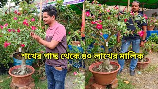 শখের গাছ থেকে লাখ টাকা আয়