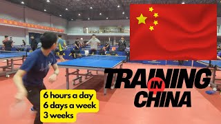 I trained in China for 3 weeks