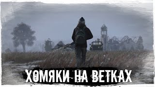 Хомяки на Ветках | DayZ | CARTEL |  #survival #dayz #CARTEL