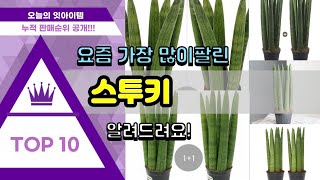 스투키 추천 판매순위 Top10 || 가격 평점 후기 비교