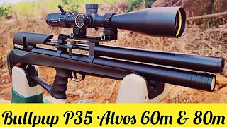 PCP BULLPUP P35 ARTEMIS CAL. .22 ALVOS A 60M 80M LUNETA WHEST HUNTER 6-24X50FFP CHUMBO JSB 18 GRAINS