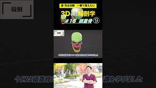 頭蓋骨の役割を知ろう！ #15  頭蓋骨【3Dで学ぶ解剖学】複雑な頭蓋骨の位置関係を理解しよう！　#頭蓋骨