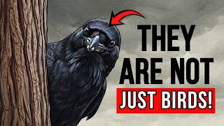 25 SURPRISING FACTS ABOUT THE CROWS THAT YOU NEVER KNEW