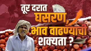 तूर दरात घसरण, भाव वाढण्याची शक्यता Tur Market Update