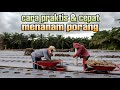 CARA MENANAM UMBI PORANG || GULUDAN PORANG PAKAI MULSA