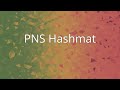 PNS Hashmat