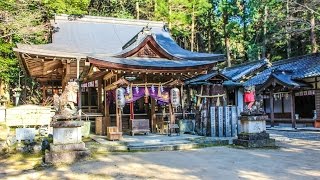 等彌神社 奈良 / Tomi Shrine Nara