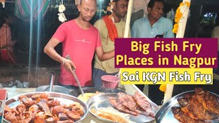 Fish Fry Nagpur | Fish Fry Chicken Pakoda \u0026 Boneless Fish Fry in Nagpur | Sai KGN Fish Fry Nagpur