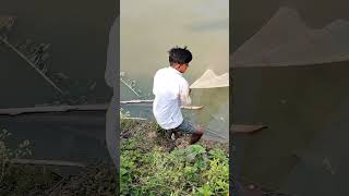 আজকে আমি এটা কি মাছ ধরলাম #shorts #shortvideo #minivlog #short