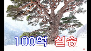 [이성휘 사진영상] 무아지송(無我之松) - 100억 설송, 100만인이 시청하는 그날까지...