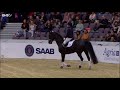 gothenburg horse show 2018 clinic med patrik k och felicia g