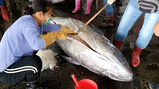 500 Lbs Bluefin Tuna Professional Detail Cutting-Taiwan Fish Cutter Master/500磅藍鰭金槍魚專業細部切割-台灣切魚大師