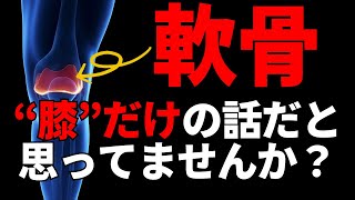 軟骨の問題って”膝”だけだと思ってませんか？【東大阪】【膝痛】