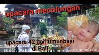 Mecolongan, Upacara 42 hari umur bayi di Bali