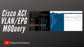 Cisco ACI - Checking the VLAN/EPG within CLI