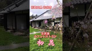 【和歌山県】古民家カフェレストラン初花 初花ランチ #古民家カフェ #古民家 #さくら #桜 #ランチ #花見