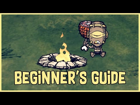 Don’t Starve Together Beginner’s Guide: Things I Wish I Knew When Starting Out #2