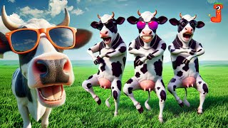 FUNNY COW DANCE FOR 12 MINUTES STRAIGHT | Cow Song \u0026 Cow Videos 2024 | Cow dance mix | dancing cow