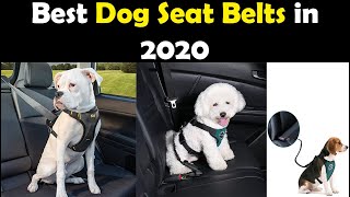 The 05 Best Dog Seat Belts in 2020