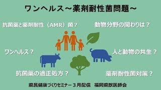 ワンヘルス～薬剤耐性菌問題～　#sdgs  #ワンヘルス #薬剤耐性菌 【県民健康づくりセミナー令和６年３月配信】