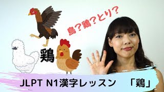 上級日本語レッスン JLPT N1 漢字　「鶏」　Advanced Japanese Kanji Lesson