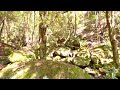 the knapsack bridge blue mountains nsw australia 悉尼蓝山背包桥