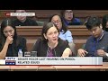 sen. hontiveros presides last senate hearing on pogo crimes related issues november 26 2024