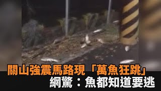 台東關山強震太晃！馬路現「萬魚狂跳」異相　網驚：魚都知道要逃－民視新聞